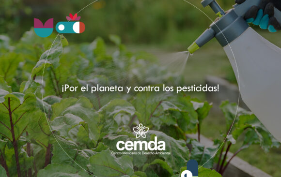 ¡Por el planeta y contra los pesticidas!