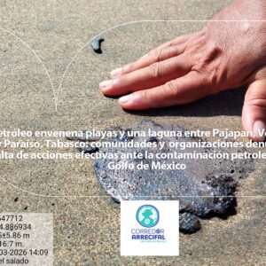 Petróleo envenena playas y una laguna entre Pajapan, Veracruz y Paraíso, Tabasco