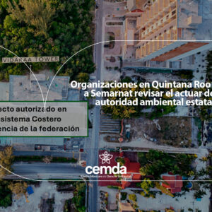 Organizaciones en Quintana Roo piden a Semarnat revisar el actuar de la autoridad ambiental estatal