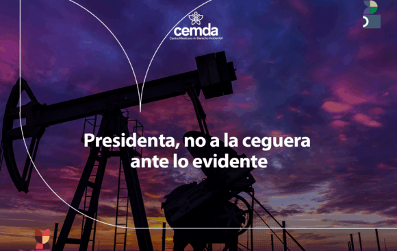 Presidenta, no a la ceguera ante lo evidente 