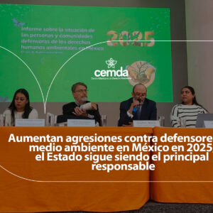 Aumentan agresiones contra defensores del medio ambiente en México en 2025, el Estado sigue siendo el principal responsable