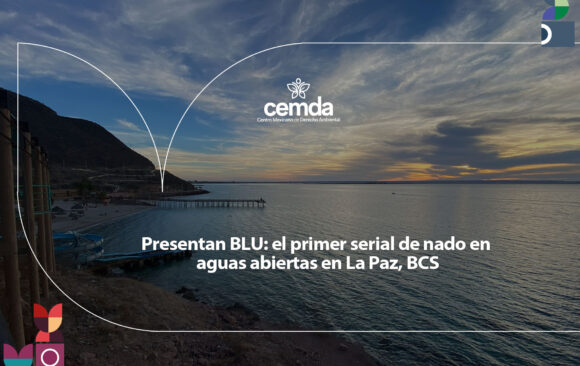 CMD_Interior_800x600blu Presentan BLU: el primer serial de nado en aguas abiertas en La Paz, BCS