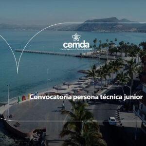 CMD_Interior_800x600convolapaz Convocatoria persona técnica junior