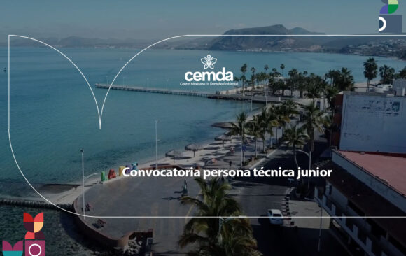 Convocatoria persona técnica junior