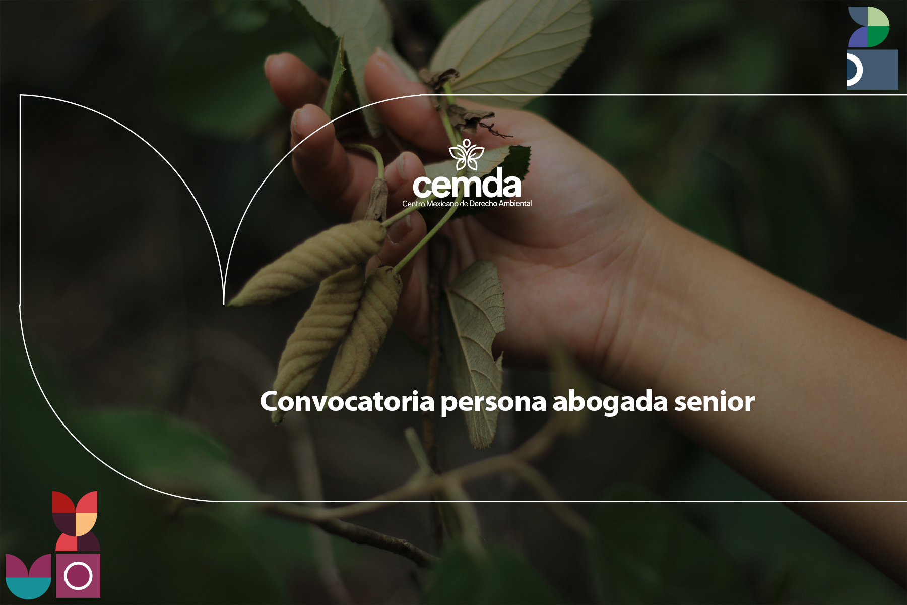 Convocatoria persona abogada senior