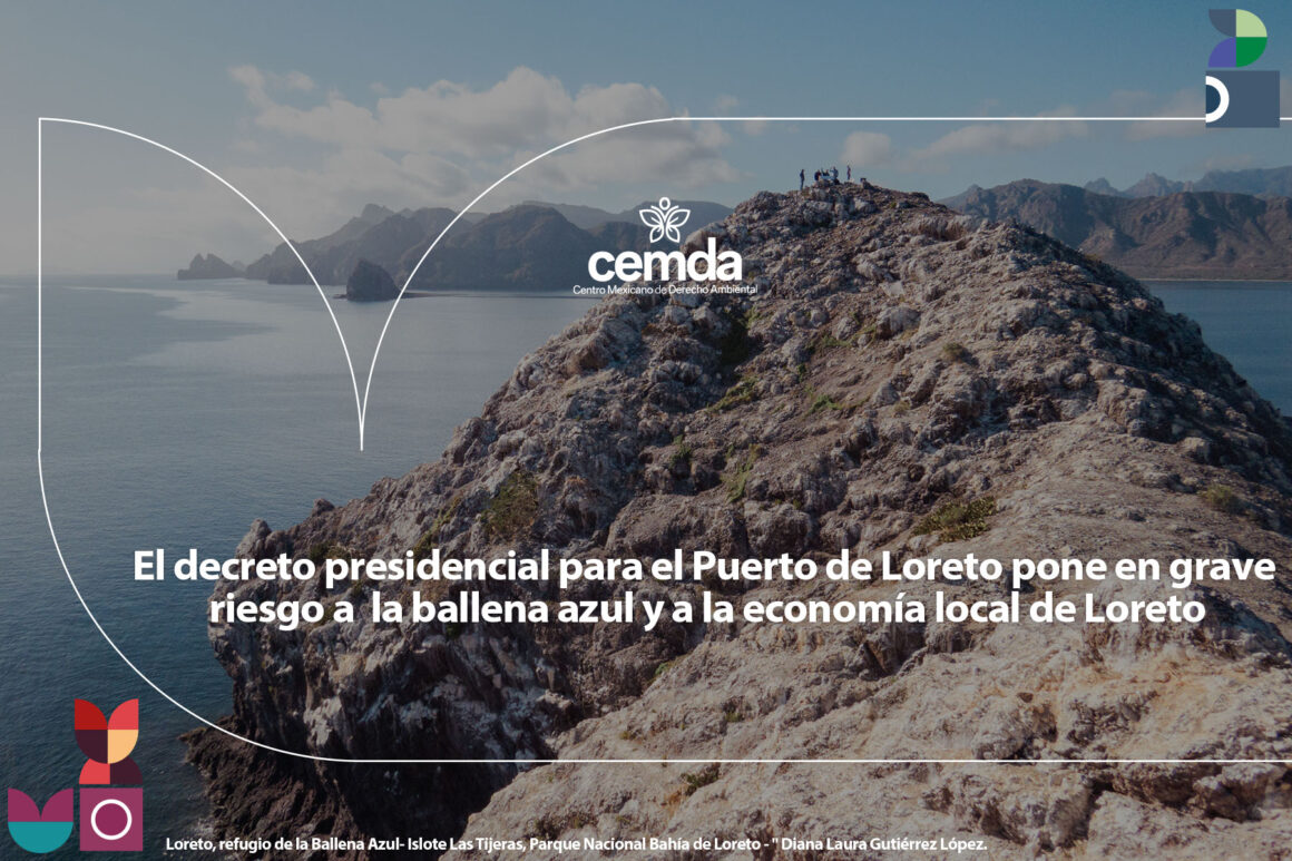 El decreto presidencial para el Puerto de Loreto pone en grave riesgo a la ballena azul y a la economía local de Loreto