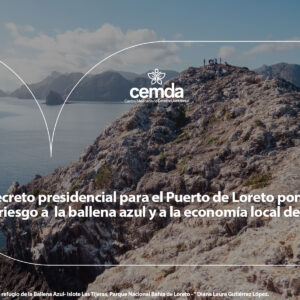 El decreto presidencial para el Puerto de Loreto pone en grave riesgo a la ballena azul y a la economía local de Loreto