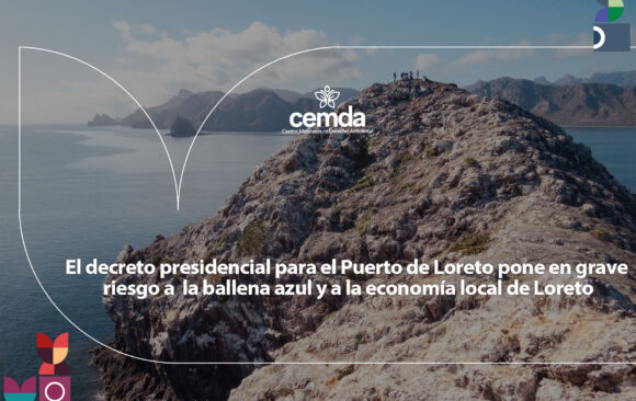 El decreto presidencial para el Puerto de Loreto pone en grave riesgo a la ballena azul y a la economía local de Loreto
