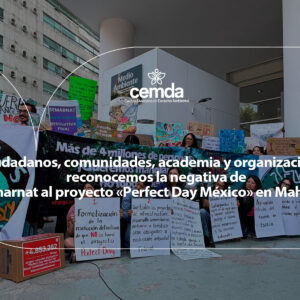Ciudadanos, comunidades, academia y organizaciones reconocemos la negativa de Semarnat al proyecto «Perfect Day México» en Mahahual