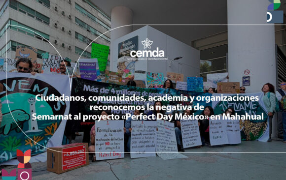 Ciudadanos, comunidades, academia y organizaciones reconocemos la negativa de Semarnat al proyecto «Perfect Day México» en Mahahual