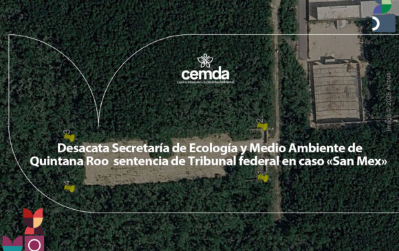 CMD_Interior_800x600mex Desacata Secretaría de Ecología y Medio Ambiente de Quintana Roo sentencia de Tribunal federal en caso «San Mex»