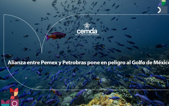 Alianza entre Pemex y Petrobras pone en peligro al Golfo de México