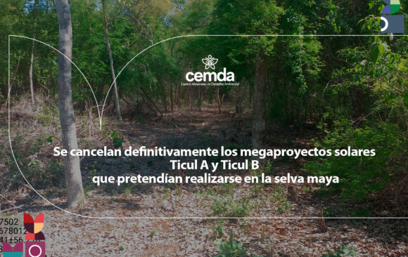 CMD_Interior_800x600ticul Se cancelan definitivamente los megaproyectos solares Ticul A y Ticul B que pretendían realizarse en la selva maya